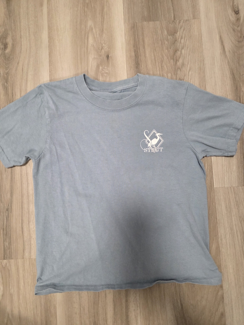 Light Blue Graphic Pocket Tee with Small Logo